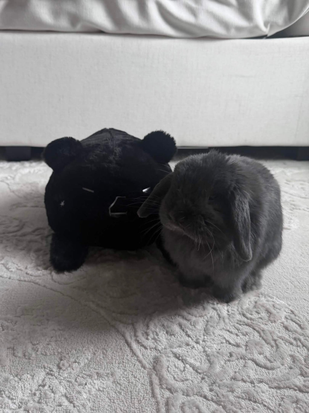 Diesel Plushie ( *  ` Д ´ )