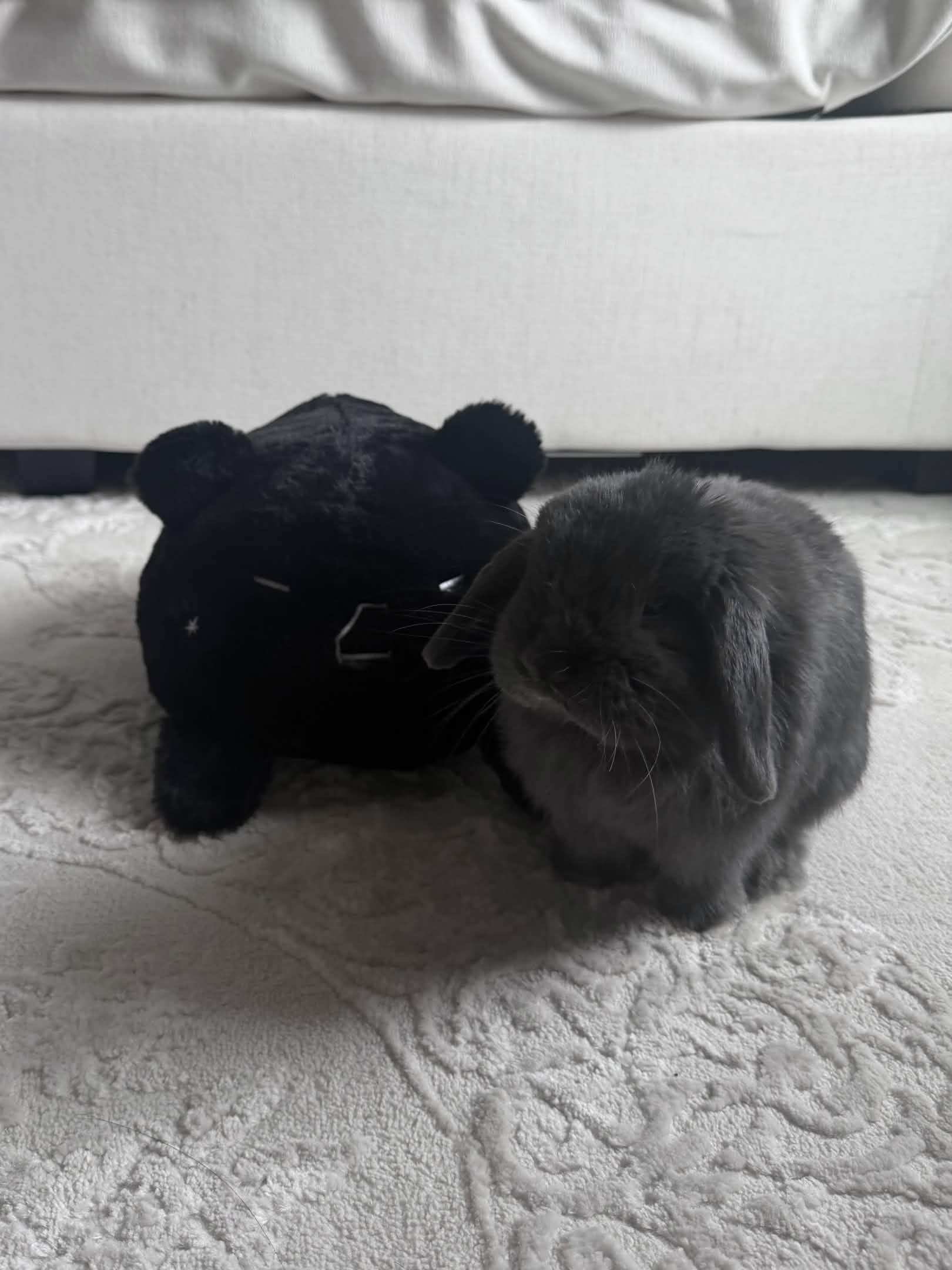 Diesel Plushie ( *  ` Д ´ )