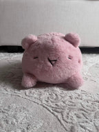 Sugar Plushie ( ´ ∀ ` ＊)